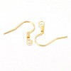 Iron Earring Hooks E133-G-1