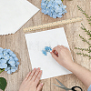 Dried Embossed Paper DIY-WH0622-646B-3