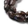 Natural Llanite Beads Strands G-P520-C24-01-4