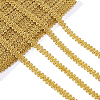 Polyester Trim Sewing Lace OCOR-WH0003-087-1