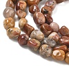 Natural Rainbow Petrified Wood Beads Strands GG-CBA9392-30-4