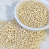 Opaque Colours Glass Seed Beads PW-WG6EF65-11-1