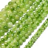 Natural Malaysia Jade Beads Strands G-L645-C01-12mm-31-2
