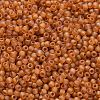 TOHO 11/0 Round Beads SEED-TR11-0162CF-2