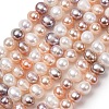 Natural Cultured Freshwater Pearl Beads Strands PA-CBABE82-14-2