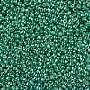 TOHO 11/0 Round Beads SEED-TR11-PF0561-2