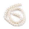 Natural Cultured Freshwater Pearl Beads Strands PEAR-C003-07D-3