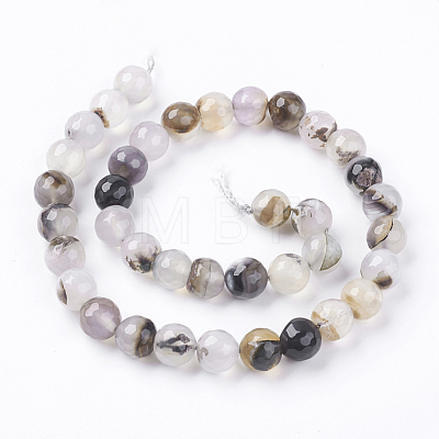 Colored Natural Multi-Color Agate Beads Strands G-R177-10mm-10-1