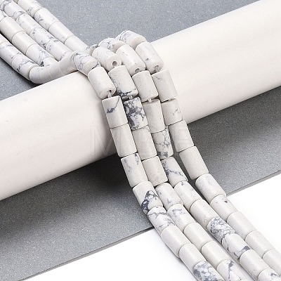 Natural Howlite Beads Strands G-C128-A37-01-1