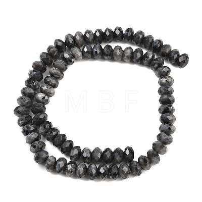 Natural Larvikite Beads Strands G-C259-A45-5x8mm-1