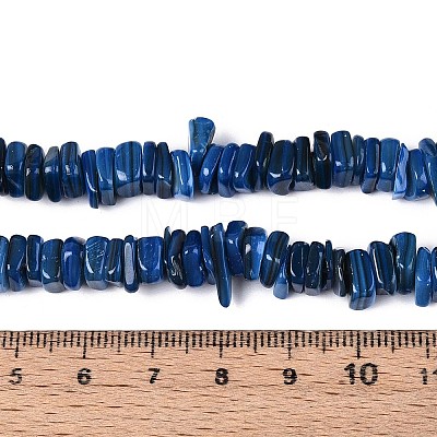 Natural Freshwater Shell Beads Strands SHEL-T020-40C-1