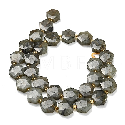 Natural Gray Labradorite Beads Strands G-L660-A02-01-1