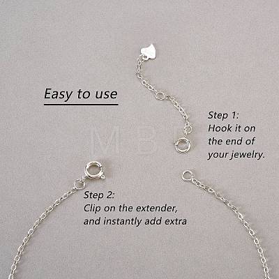 4 Pieces Extension Chain with Spring Clasp Sterling Silver Extender Chains Necklace Bracelet Anklet Removable Chain Extenders Charms for DIY Jewelry Making Accessories JX627A-1