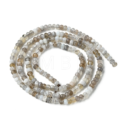 Natural Botswana Agate Beads Strands G-F748-D01-1