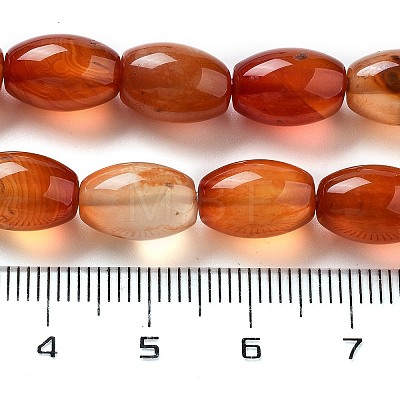 Natural Red Agate Beads Strands G-B106-B06-01-1