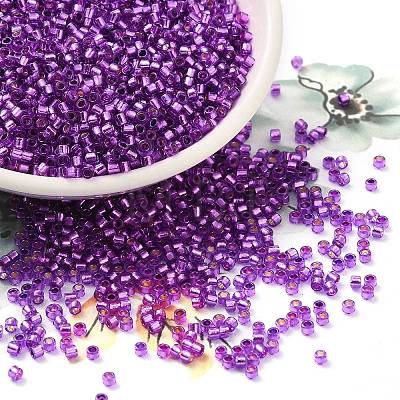 Glass Seed Beads SEED-S042-04B-20-1