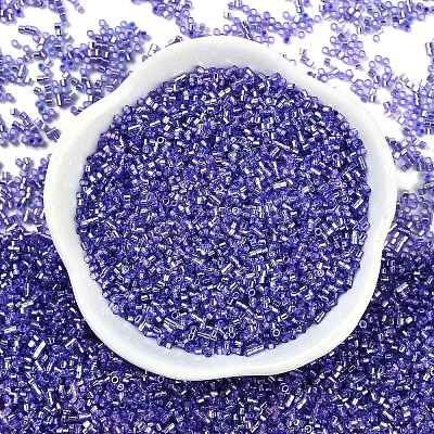 Baking Paint Silver Lined Glass Seed Beads SEED-H003-09G-1