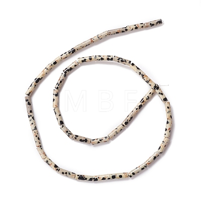 Natural Dalmatian Jasper Beads Strands G-A201-B12-1