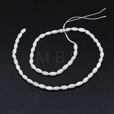 Dyed Natural Shell Beads Strands X-BSHE-E023-01C-1