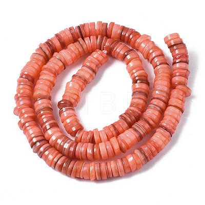 Natural Freshwater Shell Beads Strands X-SHEL-S278-025H-1