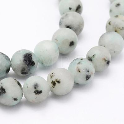 Natural Sesame Jasper/Kiwi Jasper Beads Strands G-F518-18-6mm-1