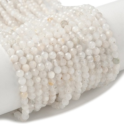 Natural Moonstone Beads Strands G-C201-B06-4mm-1