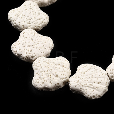 Dyed Natural Lava Rock Beads Strands G-A264-A04-01D-1