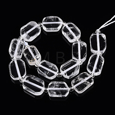 Natural Quartz Crystal Beads Strands G-C098-A20-01-1