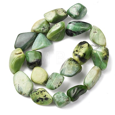 Natural Serpentine Beads Strands G-D098-C06-1