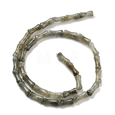 Natural Labradorite Beads Strands G-Q178-A09-01-1