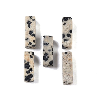 Natural Dalmatian Jasper Beads LS-G-G137-01N-1