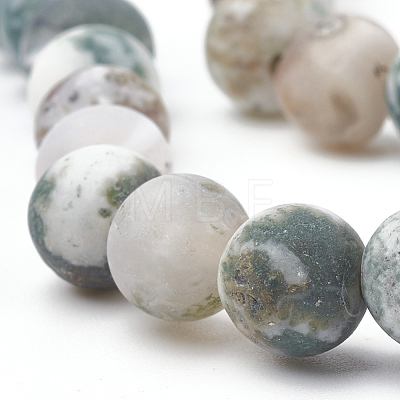 Natural Tree Agate Beads Strands G-T106-036-1