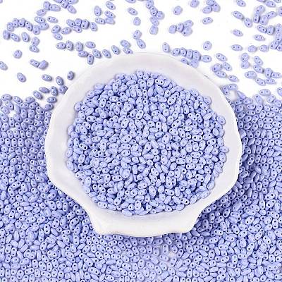 Baking Paint Glass Seed Beads SEED-T006-03J-1