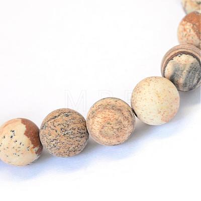 Frosted Natural Picture Jasper Round Bead Strands G-E334-4mm-26-1