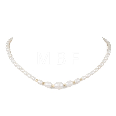Natural Cultured Freshwater Pearl Necklaces for Women NJEW-JN05940-1