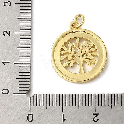 Rack Plating Brass Enamel Pendants KK-P279-20G-1