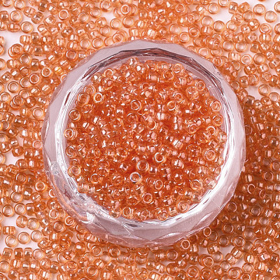 Glass Seed Beads SEED-S042-11A-03-1