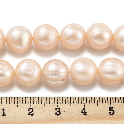 Natural Cultured Freshwater Pearl Beads Strands PEAR-C003-21D-1