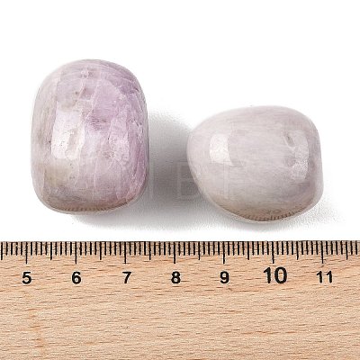 Natural Kunzite Beads G-G348-01B-15-1