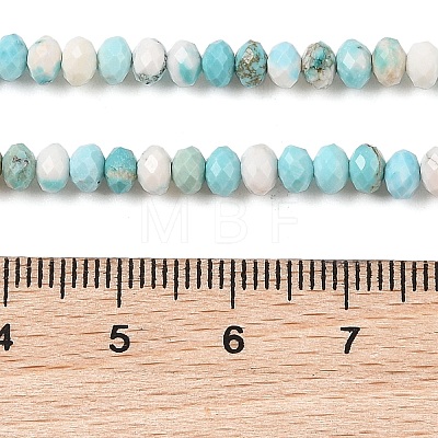 Natural Howlite Beads Strands G-H025-03D-09-1