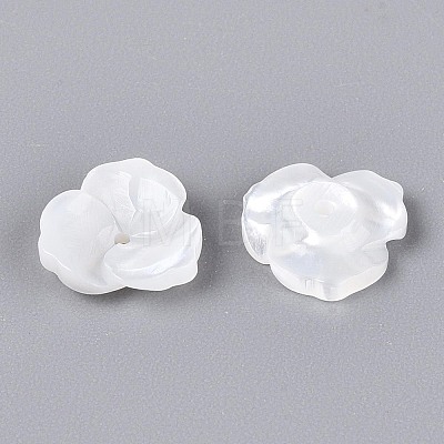 Natural White Shell Beads BSHE-T014-50-1