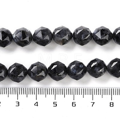 Natural Larvikite Beads Strands G-NH0021-A04-02-1