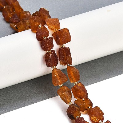 Raw Rough Natural Amber Beads Strands G-B125-C01-01-1
