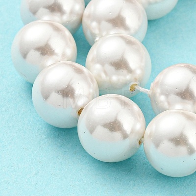 Electroplated Natural Shell Beads Strands SHEL-F008-03B-01-1