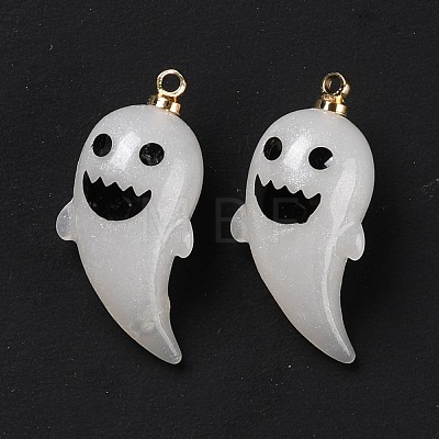 Halloween Opaque Resin Pendants RESI-B010-04D-1