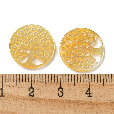 Natural Yellow Shell Cabochons SSHEL-N038-02C-1