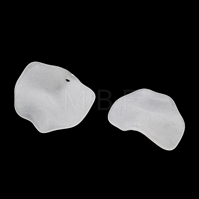 Frosted Acrylic Pendants SACR-F016-02C-1