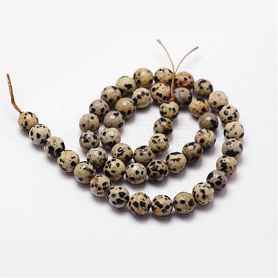 Natural Dalmatian Jasper Beads Strands G-D840-49-8mm-1