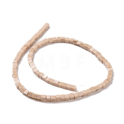 Natural Petrified Wood Beads Strands G-F631-K22-1