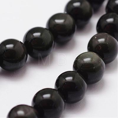 Natural Obsidian Beads Strands G-D838-14mm-04-1